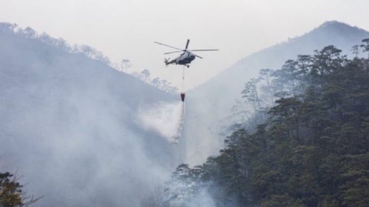 Declaran emergencia por incontrolable incendio forestal en Los Chimalapas, OAXACA