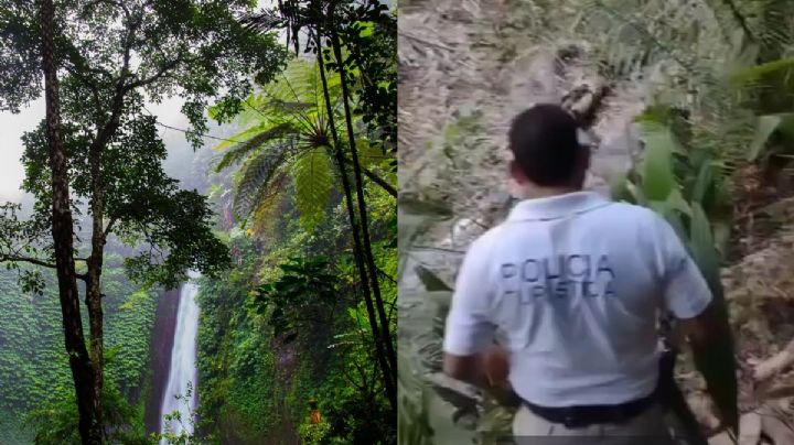 ¡Como en la Familia P. Luche! Extranjero estuvo cuatro años perdido en la selva ¡de Puerto Vallarta!