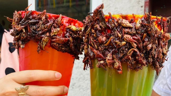 Chapuchelas, la forma viral de combinar cerveza y chapulines: ¿Dónde las venden?