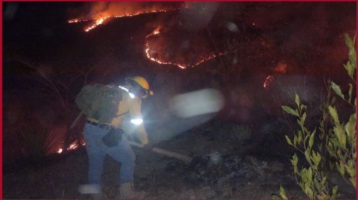 Continúa la alerta por doce incendios forestales en OAXACA este 12 de MAYO