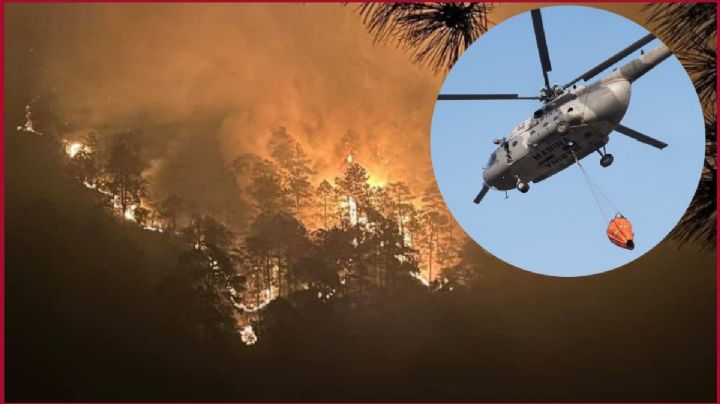 Incendio en el Valle de Tlacolula pone en riesgo zonas de conservación oaxaqueñas