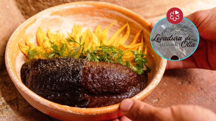 Levadura de Olla en OAXACA: El delicioso menú del restaurante ganador de una estrella Michelin