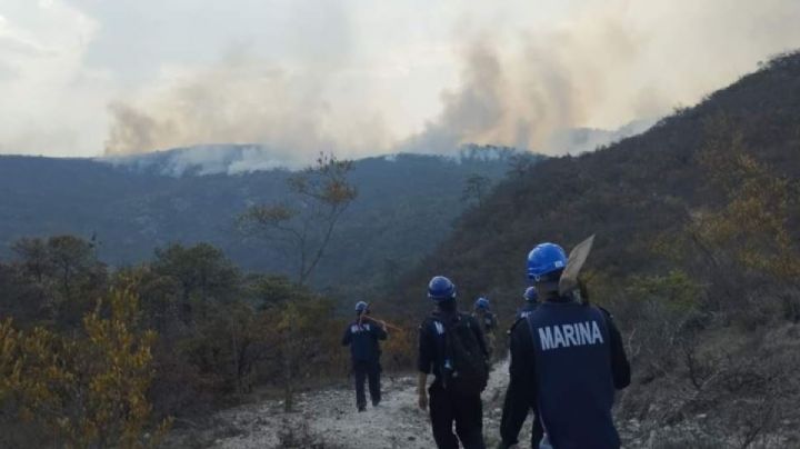 Controlado al 100 por ciento incendio en Villa de Mitla y Valle de Tlacolula