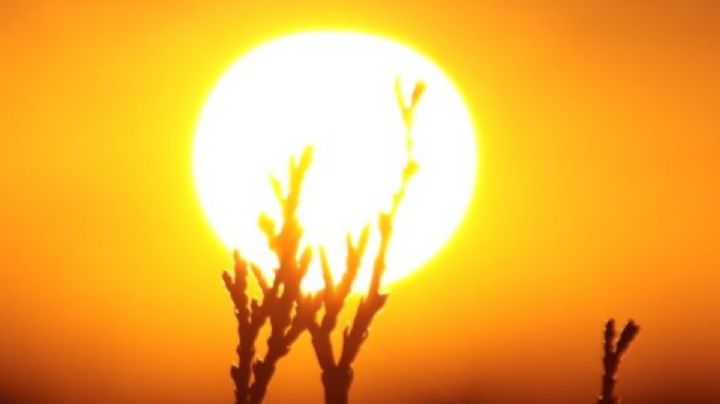 ¿Cuánto durará la tercera OLA de Calor en México?