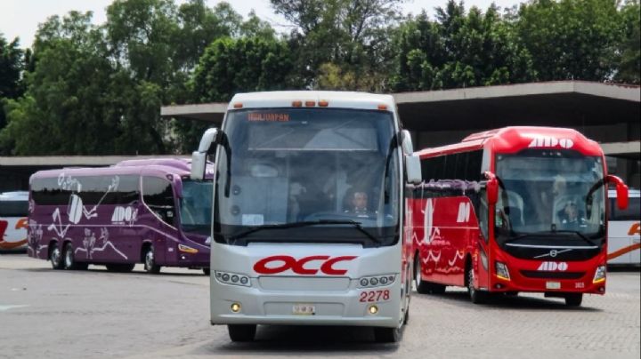 OCC o ADO: ¿Qué transporte es más barato para viajar por la autopista Oaxaca-Puerto Escondido?