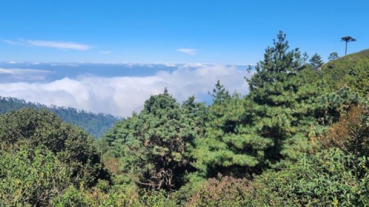 Conoce la RUTA para llegar a la cascada de la niebla en Santiago Comaltepec