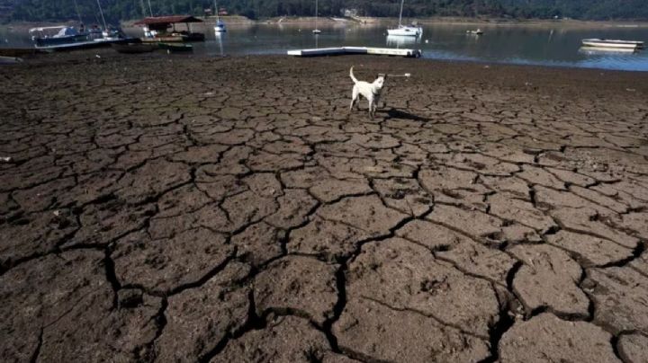 ¿Cuántos decesos hay en MÉXICO hasta este lunes 17 de Junio por la OLA DE CALOR?