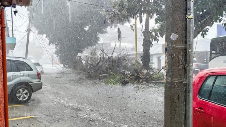 ¿A qué hora lloverá hoy en OAXACA? Lluvias provocan afectaciones severas y vienen más, según SMN