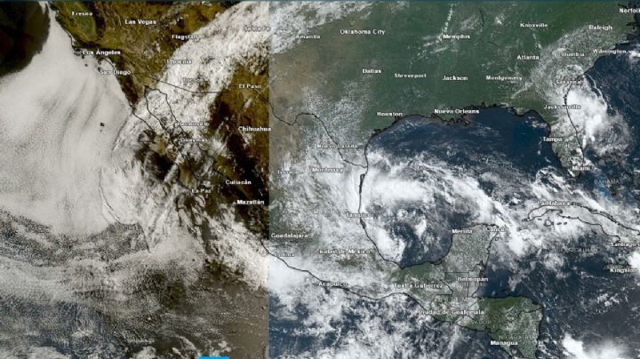 Tormenta Tropical Beryl: Vigilan formación de nuevo ciclón en México después del paso de Alberto