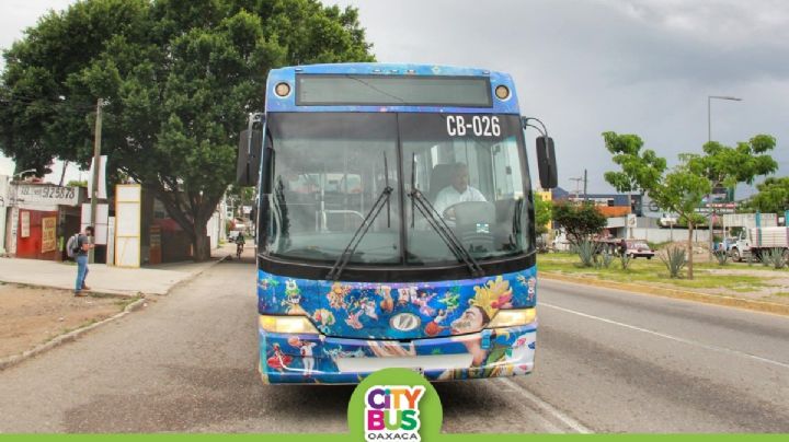 ¿Qué trayectos cubrirá el CityBus Guelaguetza 2024? Rutas y fechas del transporte gratuito