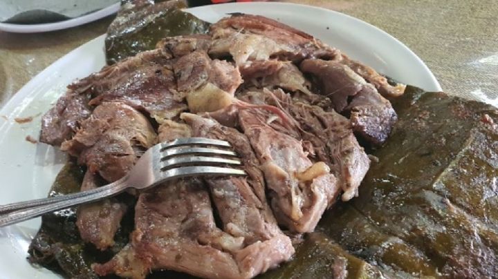 La mejor BARBACOA de HIDALGO está en el Borrego de Oro en OAXACA ¿Dónde y cómo llegar?