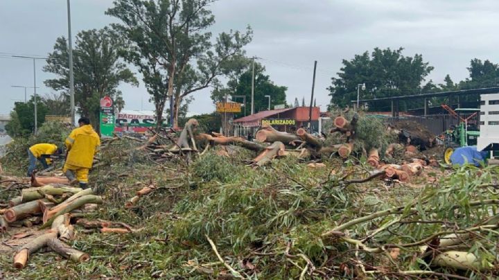 LLUVIAS dejan daños materiales e inundaciones en OAXACA