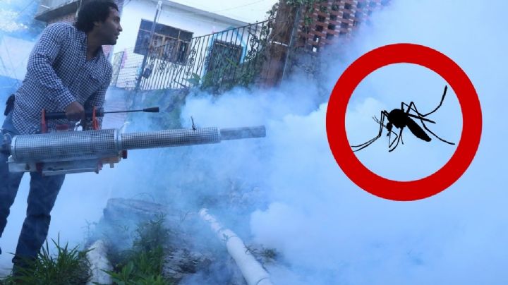 Mayoría de casos de dengue en OAXACA son del serotipo 3, "el más agresivo y de gravedad"