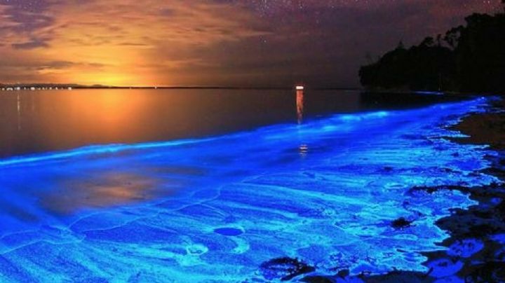 Luminiscencia en OAXACA: Esta es la mejor temporada para admirarla en la Laguna de Manialtepec