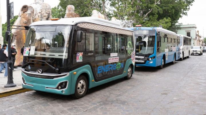 Así son los nuevos vehículos del CityBus Oaxaca que probarán durante agosto