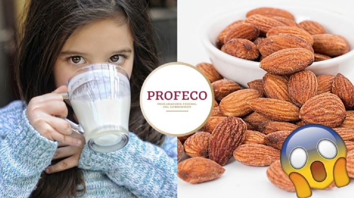 ¿Leche de almendra? Profeco advierte de estos productos "ni son leche ni tienen almendras"