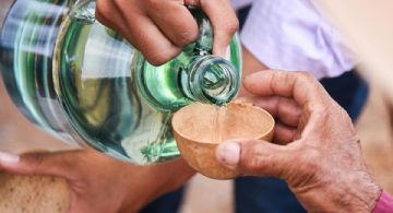 Anuncian fecha de la Feria del Mezcal 2026 en OAXACA, conoce cuándo será y qué actividades habrá 
