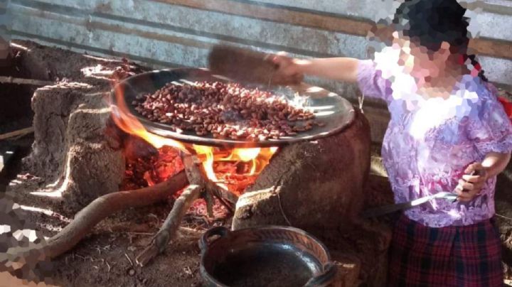 La escuela de OAXACA que enseña a los alumnos a preparar chocolate y cultivar para sostenerse