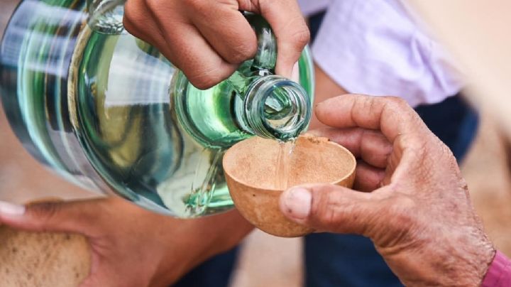 Guía definitiva para tomar mezcal y no morir en el intento durante las Fiestas Patrias