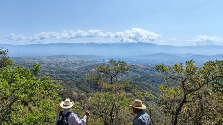 Basurero “ilegal” pone en riesgo la reserva ecológica del Parque Nacional Benito Juárez