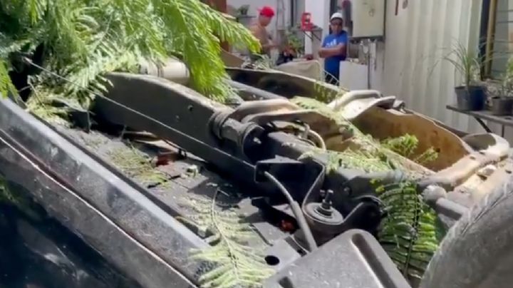 VIDEO | camioneta cae dentro de casa en las faldas del Cerro del Fortín de OAXACA