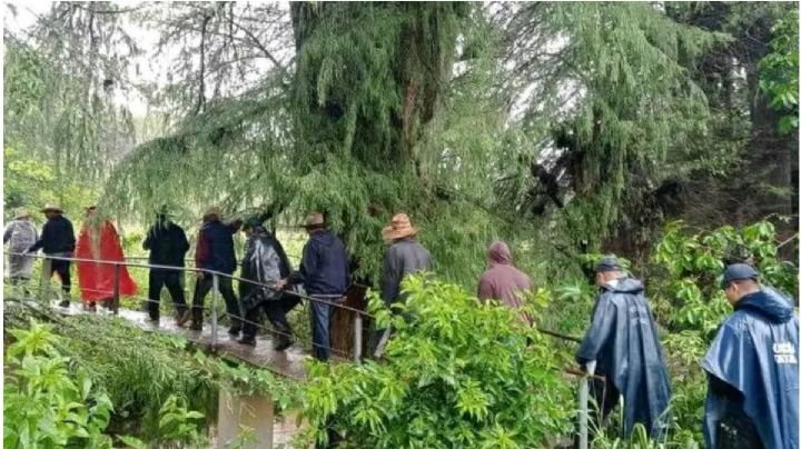 Cobra "John" su primera victima en Oaxaca; se reporta una persona desaparecida