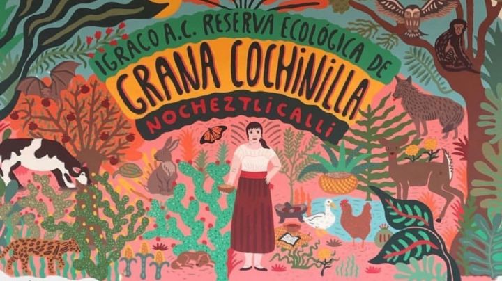 Museo Nocheztlicalli, un espacio para la preservación de la grana cochinilla en OAXACA
