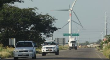 Frente Frío 13 deja caída de árboles y cortes de energía eléctrica en OAXACA
