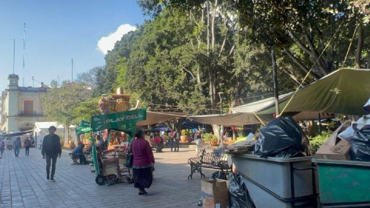 Sección 22 de la CNTE instala campamento masivo en la capital oaxaqueña; se declaran en paro de 48 horas