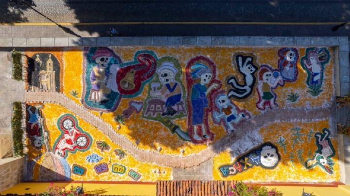 ¡Qué maravilla! Así se ven desde las alturas los tapetes artesanales del Día de Muertos en Jalatlaco, OAXACA