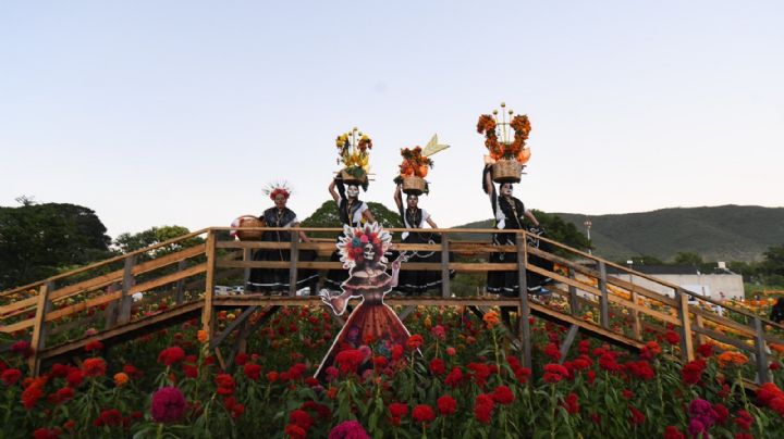 Flores que Guían el Alma en OAXACA: rutas, fechas y todo lo que debes saber para disfrutar del circuito floral del Día de Muertos 2025