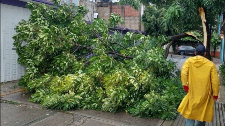 Protección Civil de OAXACA advierte aumento en lluvias que podrían provocar deslaves e inundaciones