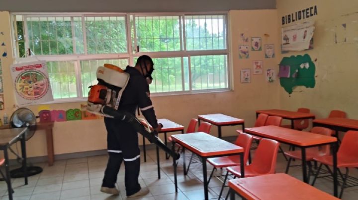 Virus Coxsackie pone en alerta a OAXACA: ¿Cómo se contagia y cuál es su tratamiento?