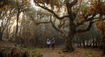 Este es el pueblito ideal para disfrutar de la nieve y amaneceres de ensueño en el invierno de OAXACA