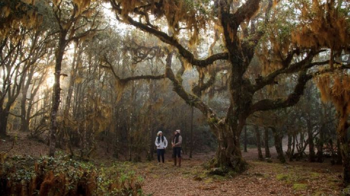 Este es el pueblito ideal para disfrutar de la nieve y amaneceres de ensueño en el invierno de OAXACA