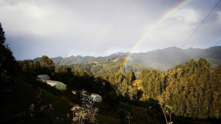 Arma tu escapada invernal en pareja a las cabañas de La Nevería OAXACA: Guía cómo llegar y qué hacer en el lugar