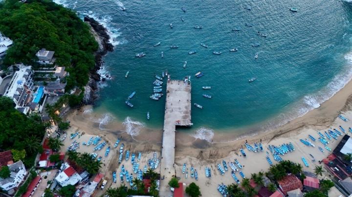 Fiesta en la Costa de Oaxaca: Disfruta del Ballena Fest 2025 con conciertos y actividades GRATIS para rendir homenaje a la naturaleza