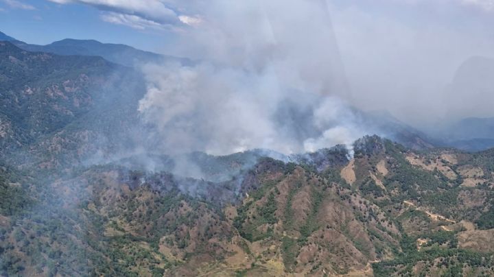 Alerta en OAXACA: Incendio forestal masivo consume más de 350 hectáreas de bosque en Santa María Zaniza