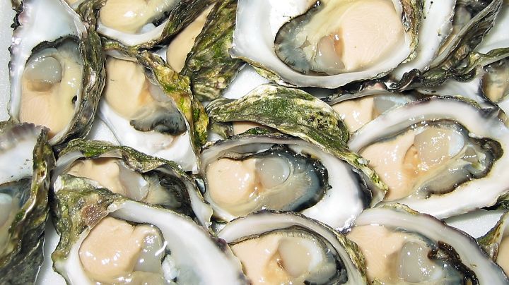 Vive el Festival del Ostión en Playa Agua Blanca OAXACA, fiesta y sabor en la costa este 13 y 14 de diciembre