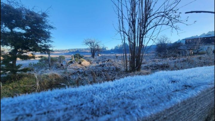Imágenes de las primeras heladas del invierno 2025 en la Mixteca Oaxaqueña hoy jueves 18 de diciembre de 2025