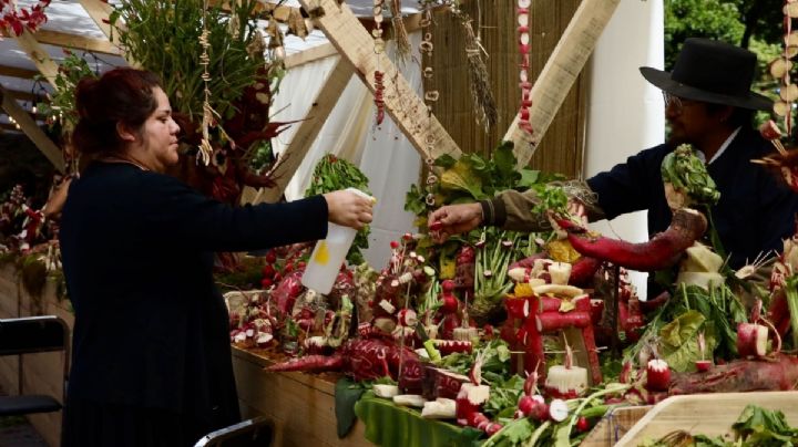 A qué hora comienza la Noche de Rábanos 2025 y dónde se pueden apreciar las esculturas en OAXACA