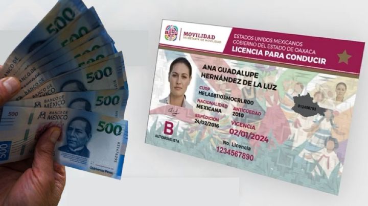 ¿Cómo pagar en línea la licencia para conducir de OAXACA en 2025? Guía fácil