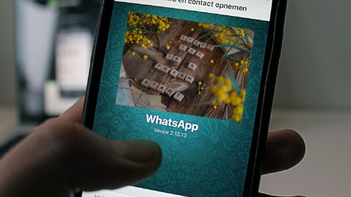 ¡Bienvenida la PRIMAVERA a OAXACA! 30 frases para compartir en WhatsApp