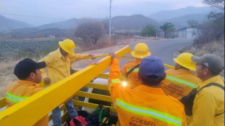 Coesfo combate incendio forestal en Pochutla OAXACA