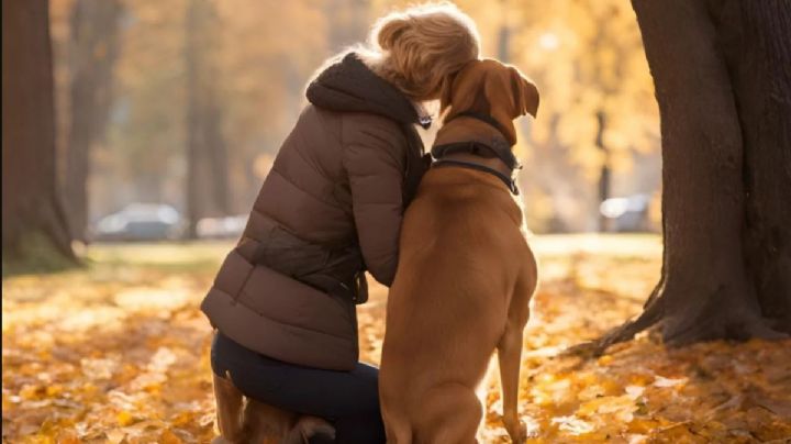 UABJO ofrece servicios de cremación de mascotas a bajo costo en OAXACA