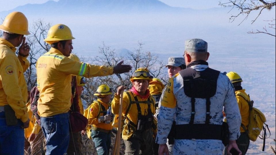 El incendio que inició en Santo Domingo Tomaltepec se extendió a San Francisco Lachigoló, Santa Catarina de Sena y el Tule.