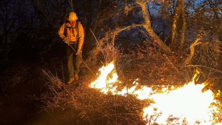 Se suman más brigadistas y pobladores para atender emergencia forestal en OAXACA