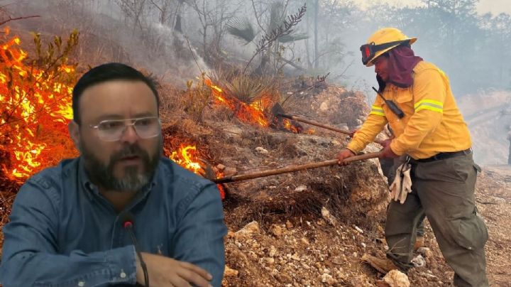 VIDEO | Incendios registrados en Oaxaca han sido provocados: Jesús Romero