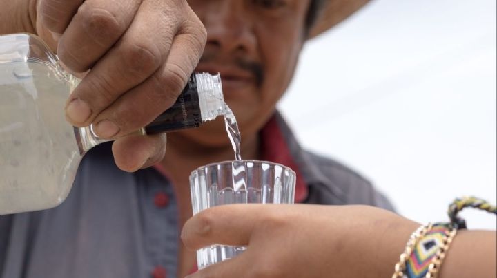 Anuncian la Feria del Mezcal en Miahuatlán, OAXACA: ¿Cuándo será?