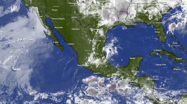 ¿Viene un ciclón a OAXACA? SMN vigila zona de baja presión en el Pacífico; ¿cuándo llegaría a las costas?